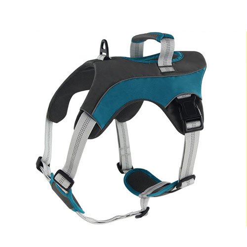 Outdoor large dog harness
