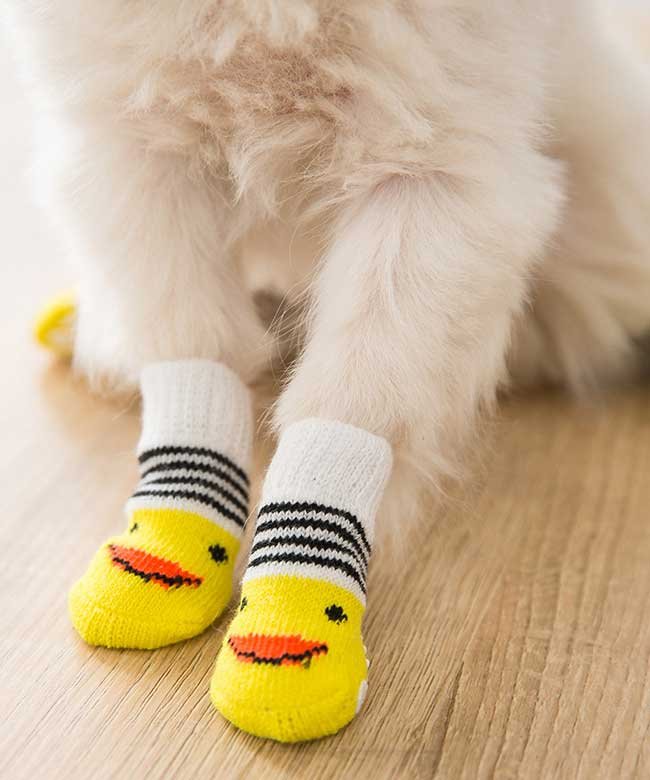 Custom process of pet socks
