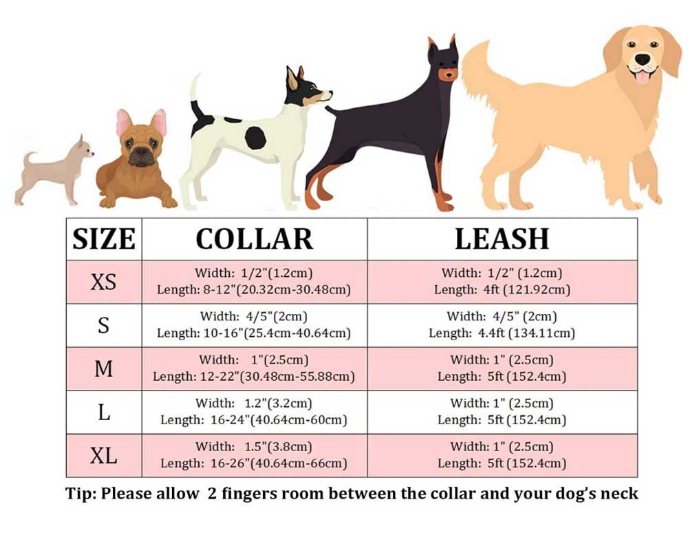 dog-collar-size-selection