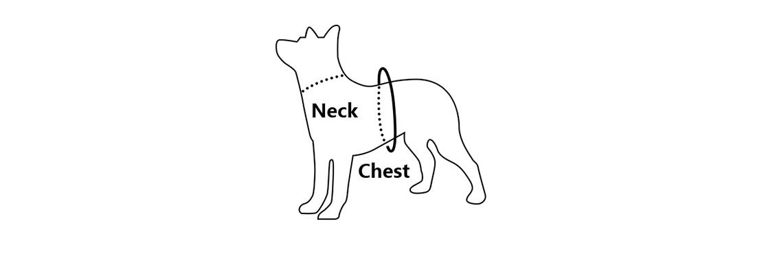 how-to-measure-your-dog